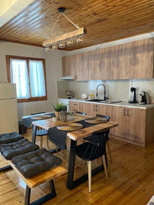 瓦西利基Politis' Wooden House公寓 外观 照片