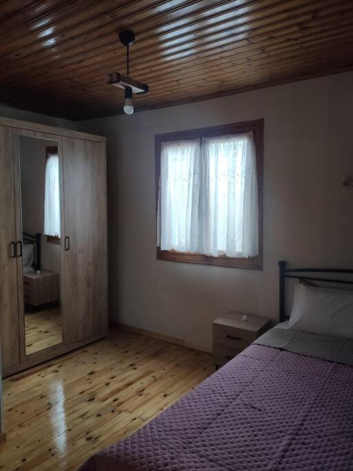 瓦西利基Politis' Wooden House公寓 外观 照片