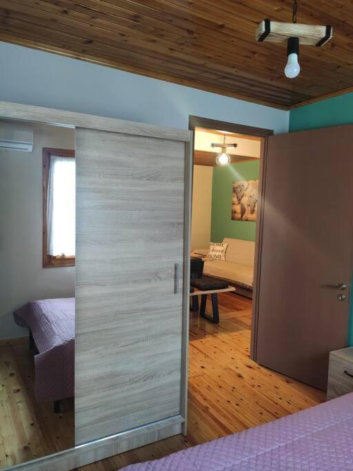 瓦西利基Politis' Wooden House公寓 外观 照片
